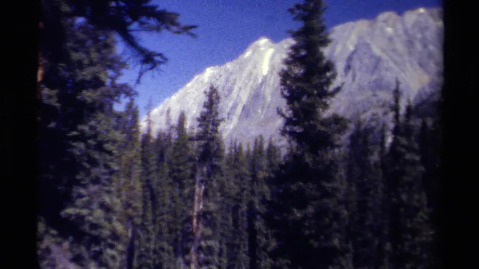 1979 8mm travel frame with a bright mountain peak beyond tall evergreens in British Columbia.