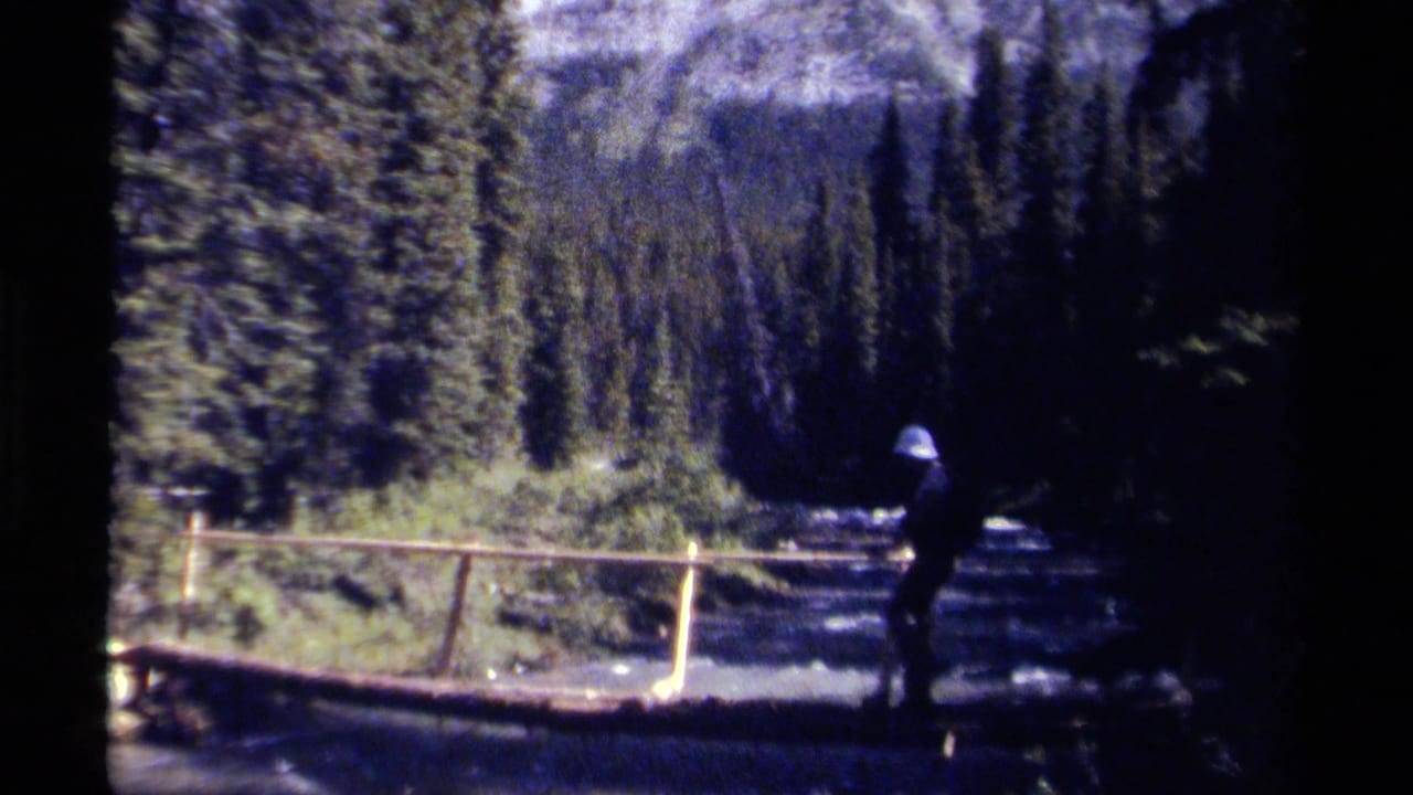 Hiker in a blue hat crossing a wooden bridge in a forest clearing with mountains behind.
