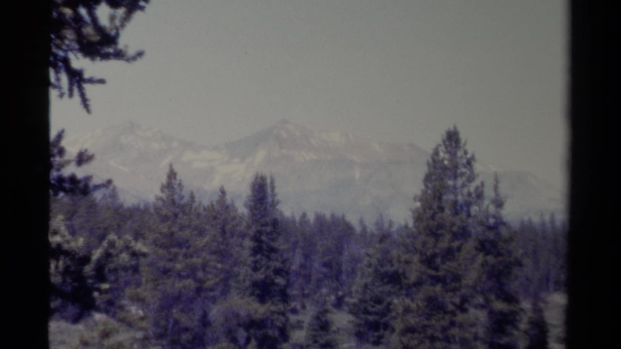 Evergreen forest and distant snow-capped mountains seen through dark 8mm frame borders.