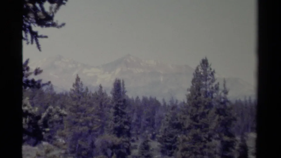 1979 British Columbia 8mm frame showing a hazy mountain range beyond dense evergreen forest, bordered by dark film edges.