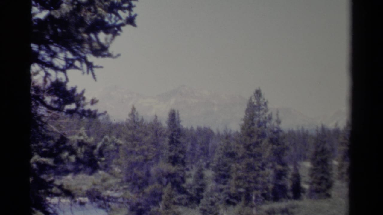 Mountain peaks beyond evergreen trees with dark vertical film border at the left.