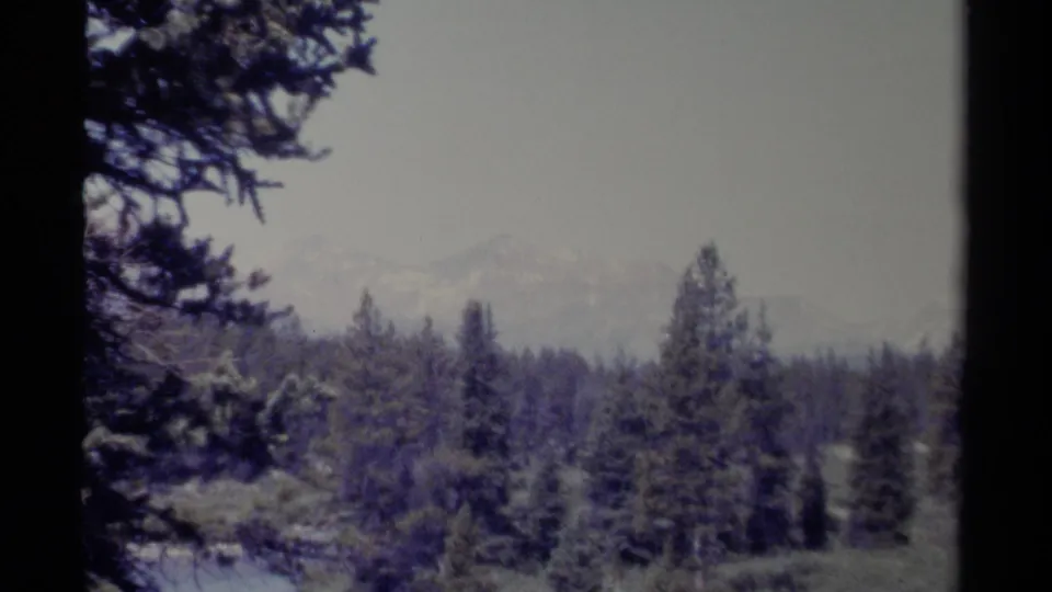 1979 British Columbia 8mm view of evergreen forest and pale mountain peaks, with a dark frame edge from the film scan.