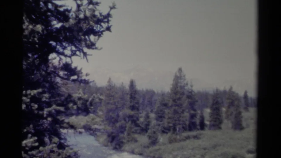 1979 British Columbia 8mm frame with a winding river or stream, evergreen trees, grassy banks, and faint mountains in the distance.