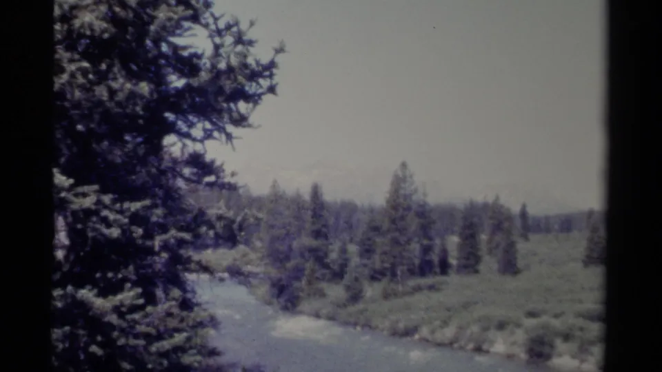 1979 British Columbia 8mm frame showing a river bend between evergreen trees and open banks, with faint mountains beyond.