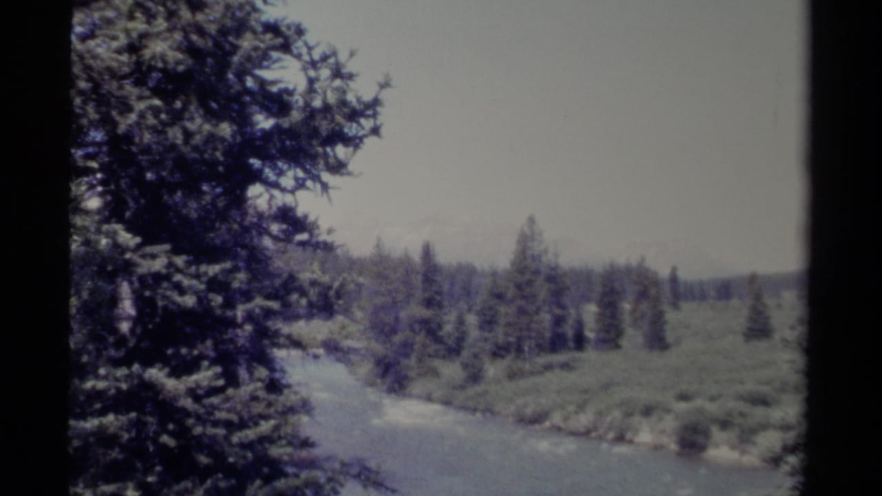 River curving past evergreen trees with distant forested hills under a pale sky.