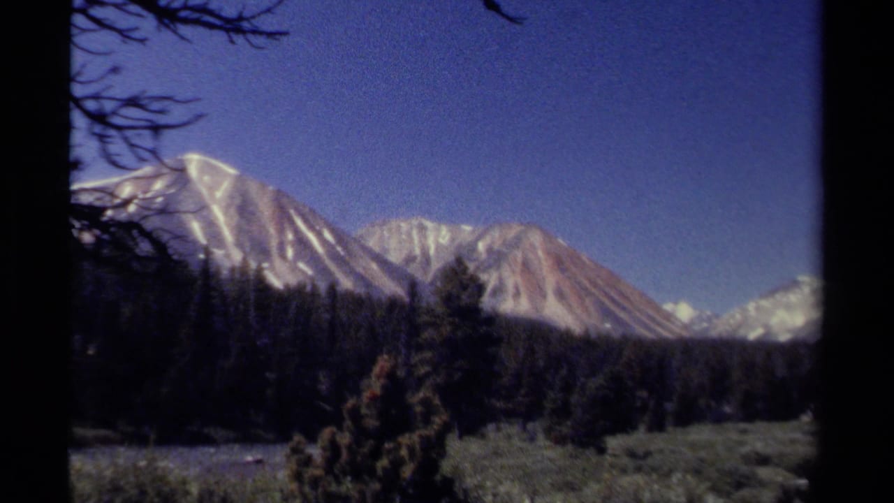 Snow-streaked mountain range above dark evergreen forest under a blue sky.