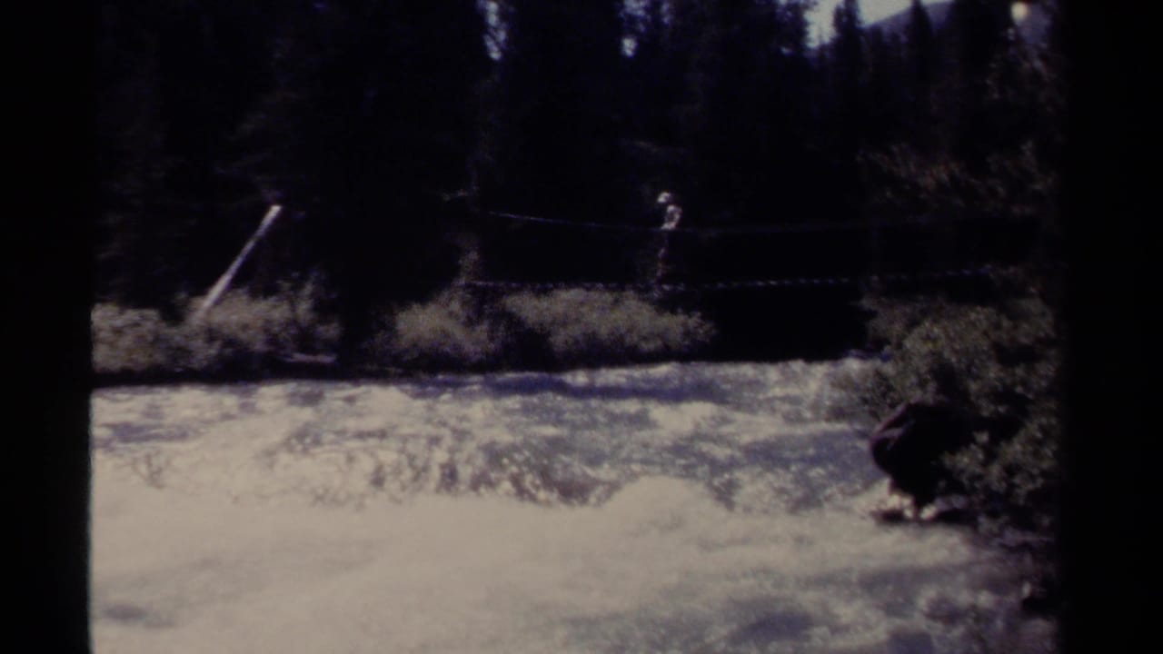 A person crosses a narrow rope bridge above a rushing river in a forest.