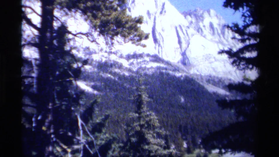 1979 British Columbia 8mm view of evergreen trunks, snow-streaked mountain slopes, and a dark forested valley.