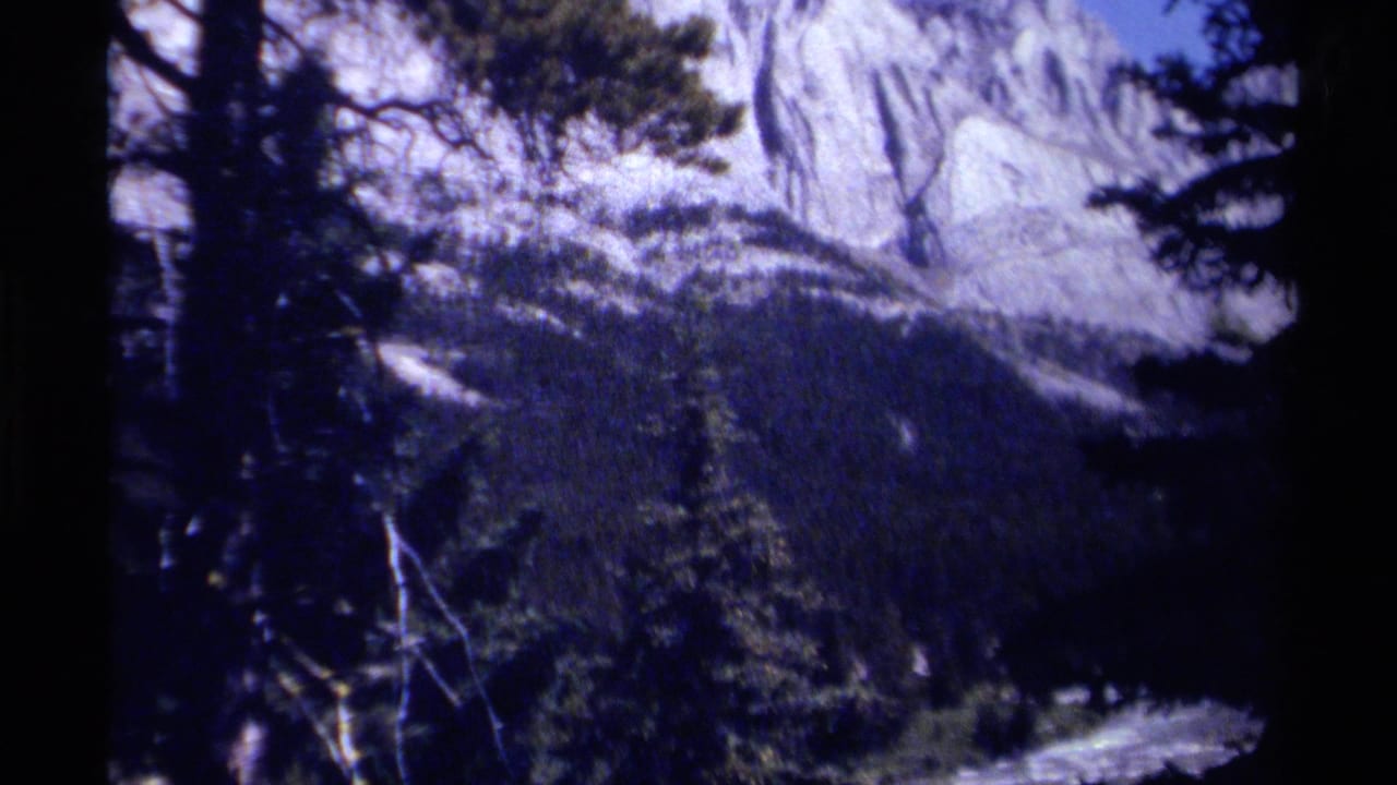 Tree silhouettes stand before snowy slopes and a dark mountain valley.