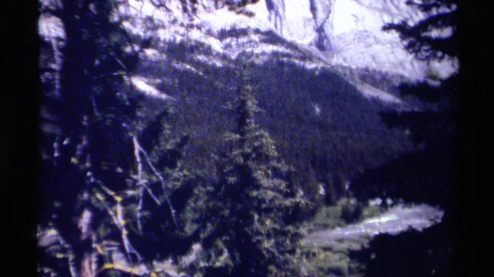 1979 British Columbia home-movie frame showing evergreens, bare branches, snowy slopes, and a river visible below.