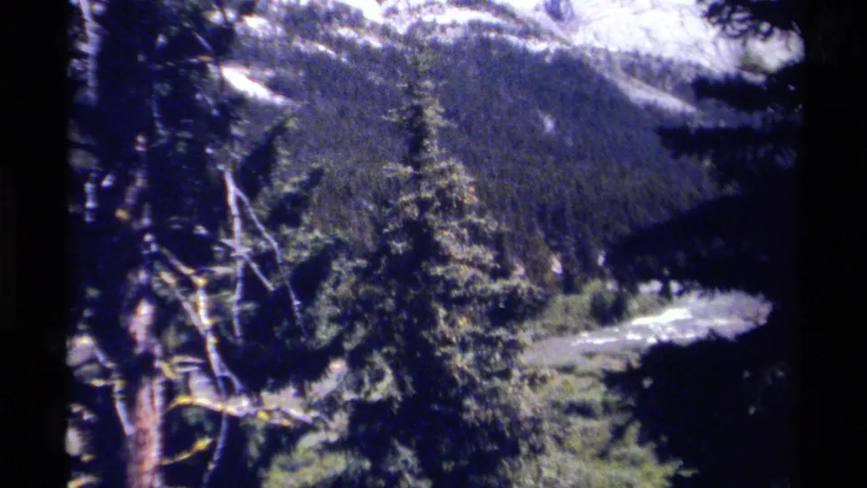 8mm winter landscape from British Columbia, with a river below evergreens and snow-dusted mountains in the background.