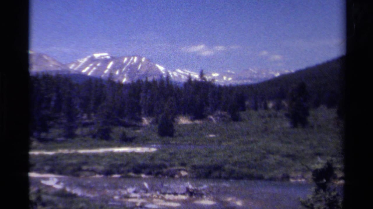 Forested valley and rocky stream below distant snow-capped mountains under a blue sky.