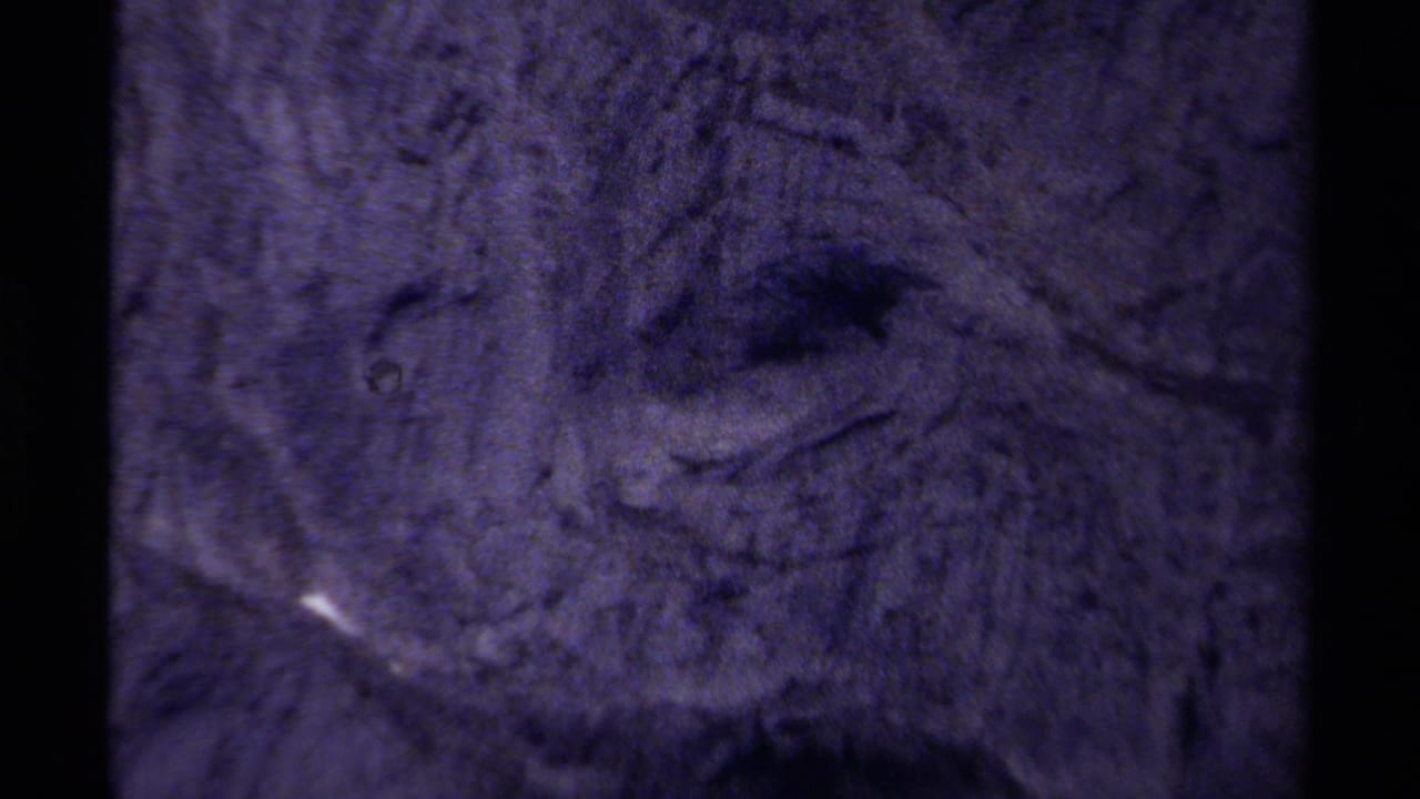 Close 8mm view of a British Columbia rock face with a dark hollow that gives the surface an eye-like appearance.