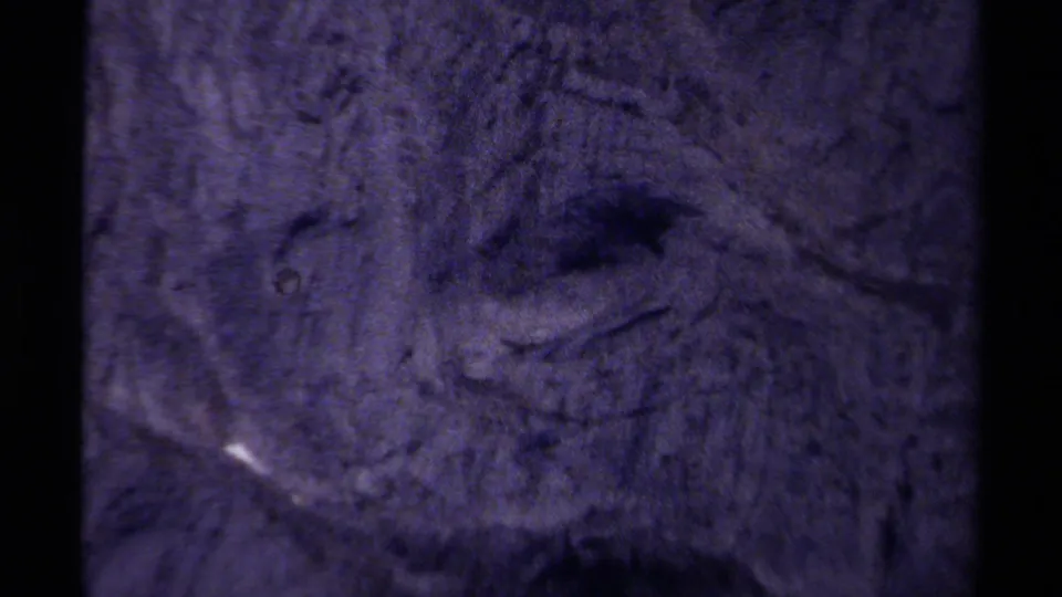 Close 8mm view of a British Columbia rock face with a dark hollow that gives the surface an eye-like appearance.