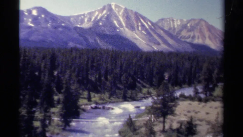 British Columbia landscape with snow-streaked peaks, a broad evergreen forest, and a bright river channel below.