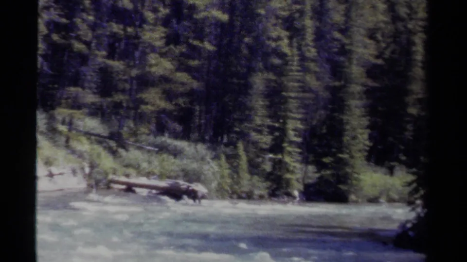 The camera shifts to the river edge, showing fast water, fallen logs, and dense forest in British Columbia.