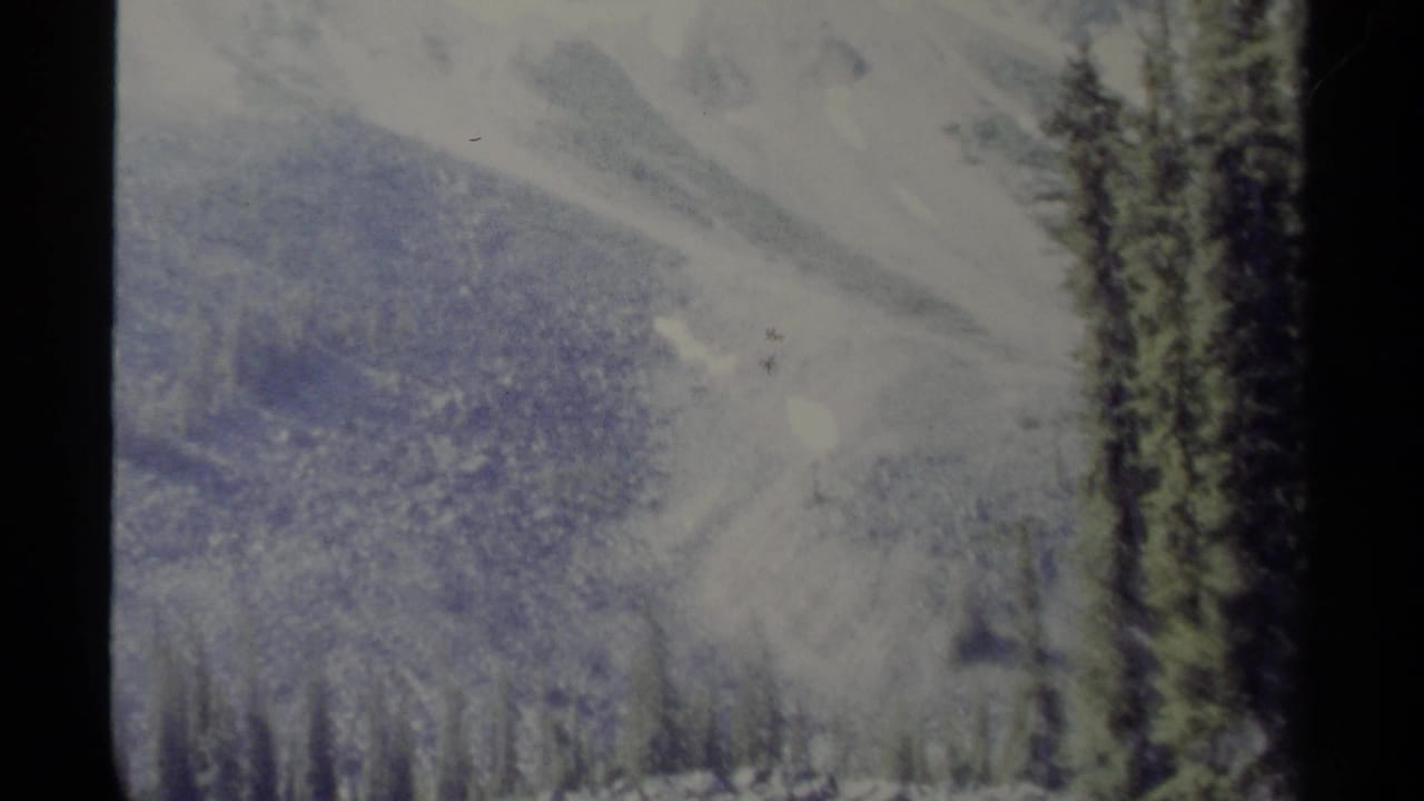 Faded 1979 8mm view of snow-dusted mountains and dark evergreens in British Columbia, Canada.