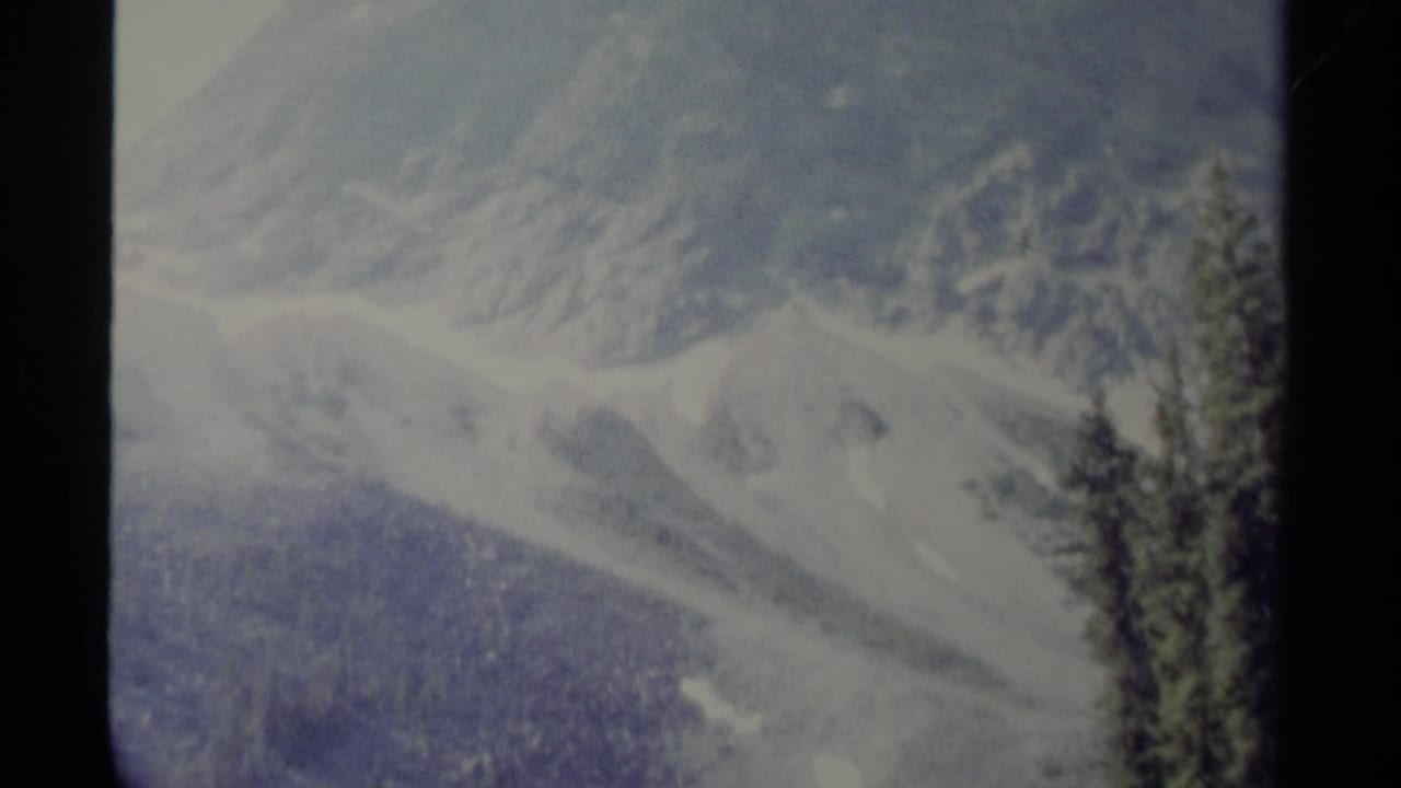 Snowy mountain slope and evergreen trees framed from a distance.