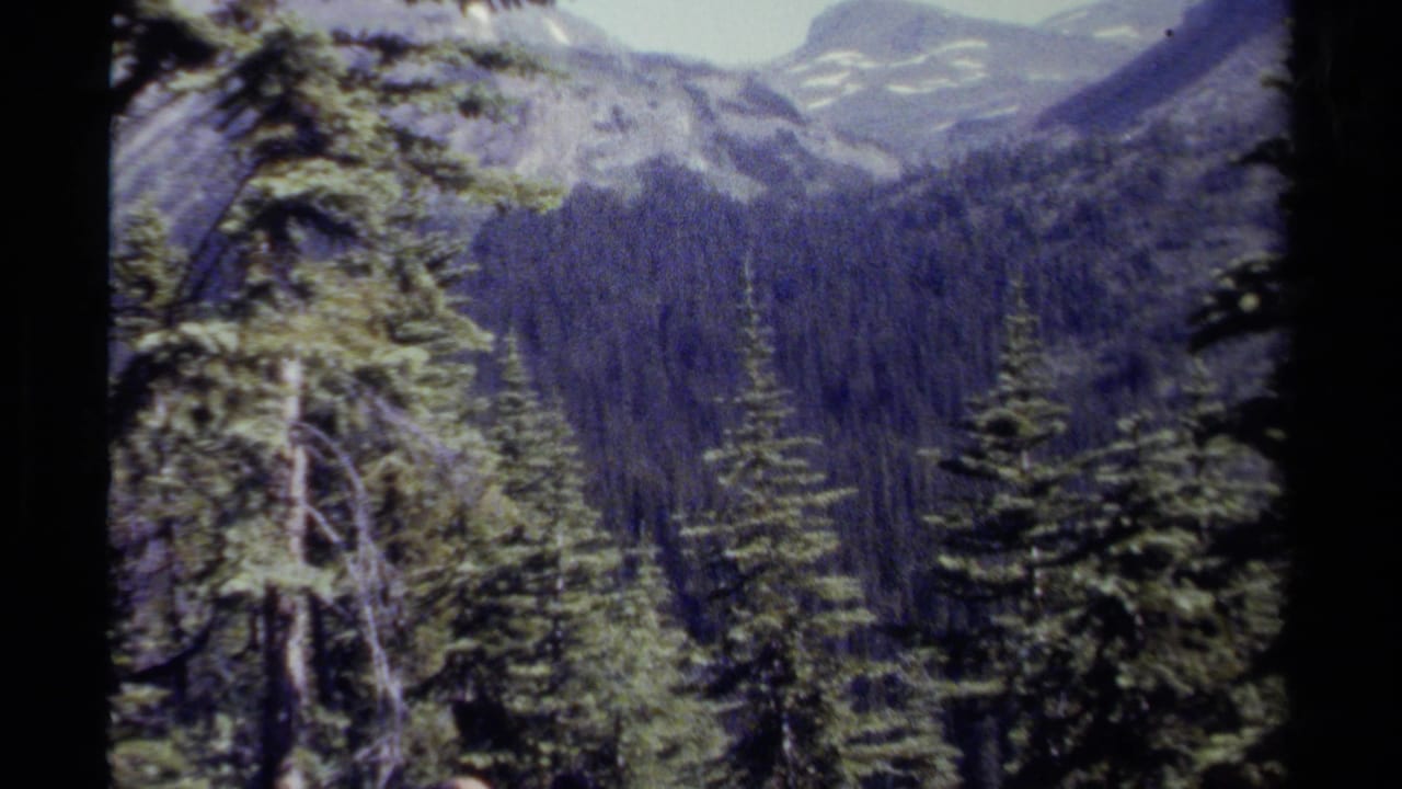 1979 British Columbia home-movie view of dense pine forest, mountain slopes, and distant snow patches from a hiking trail.