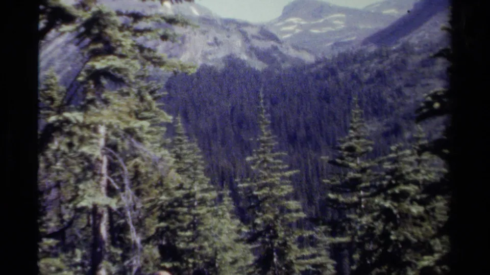 1979 British Columbia home-movie view of dense pine forest, mountain slopes, and distant snow patches from a hiking trail.