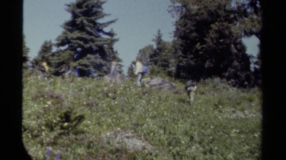 Hikers cross a meadow in British Columbia, Canada, in 1979, with conifer trees, open grass, and a bright sky visible.
