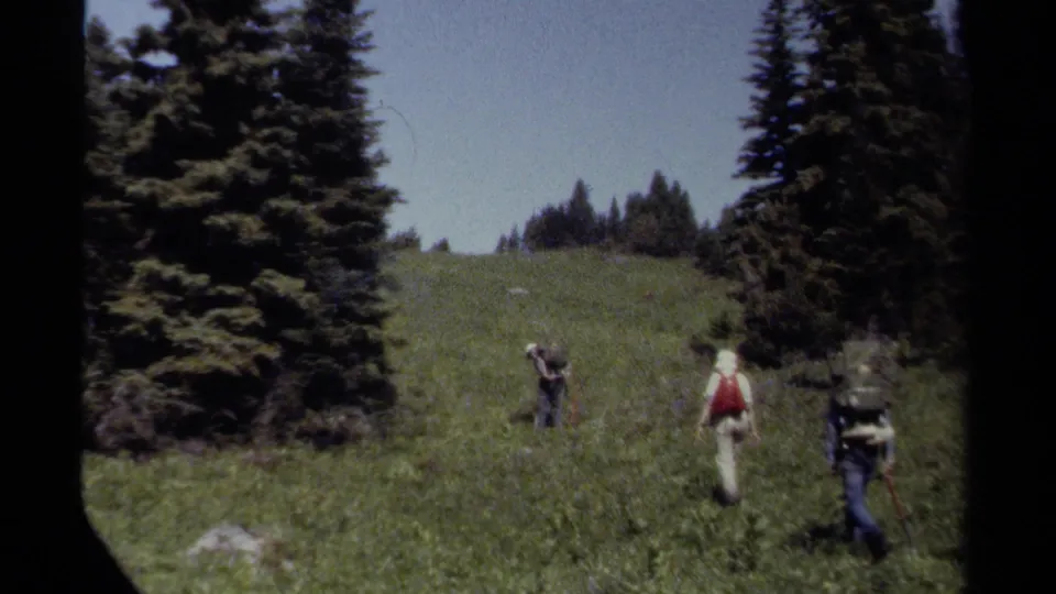 Three hikers, including one with a red backpack, climb a meadow hillside between large evergreen trees in the 1979 British Columbia home movie.