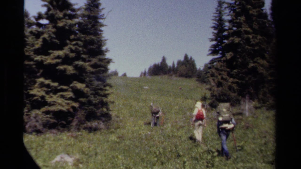 In 1979 British Columbia home-movie footage, three hikers with backpacks walk through a grassy mountain meadow bordered by evergreens.