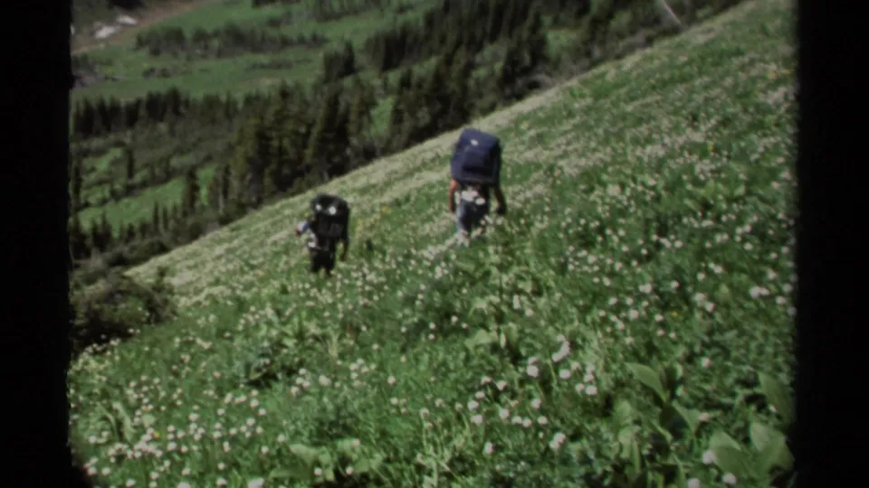 1979 British Columbia home-movie frame showing two distant backpackers crossing a green wildflower meadow on a sloped mountain landscape.
