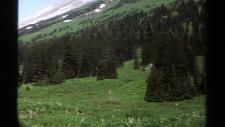 Handheld 1979 8mm frame of evergreens across a British Columbia alpine meadow beneath remaining snowfields.