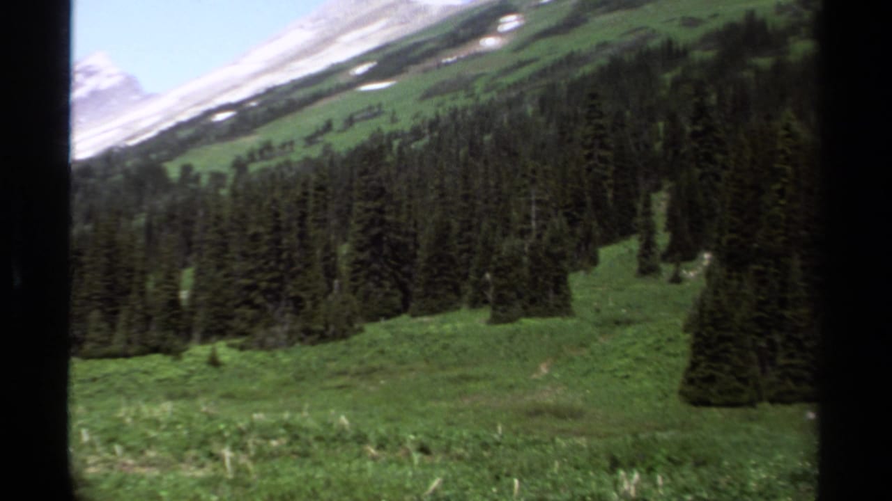 Green mountain meadow and evergreen forest seen through a dark vehicle-window edge.