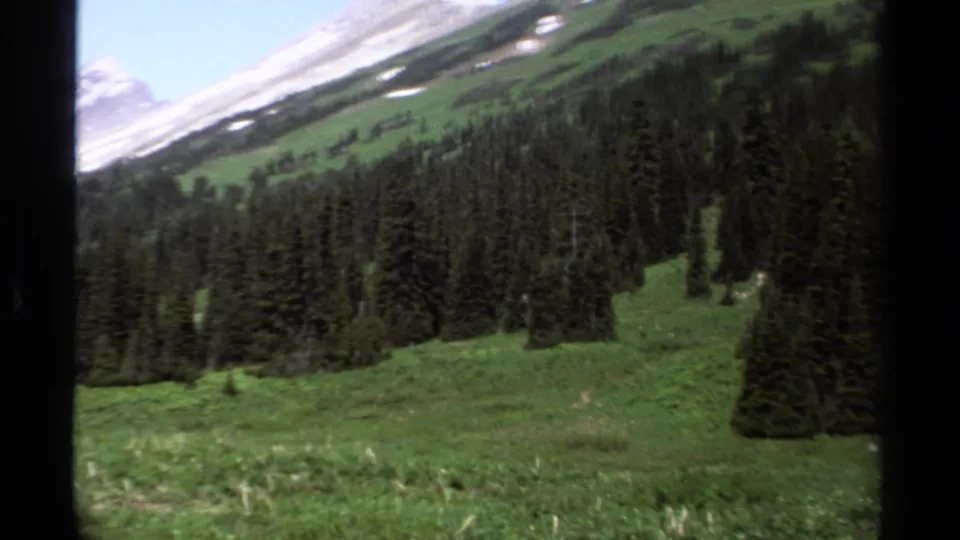 1979 British Columbia home-movie frame showing meadow, dense evergreens, and snow-patched mountain slopes from a moving vehicle.