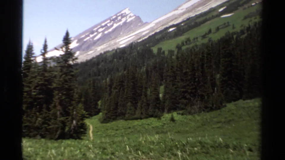 1979 British Columbia 8mm frame showing a forested mountain valley, green meadow, and a pale path or runoff line below snowy slopes.