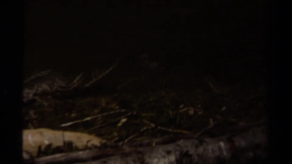 Dim final 8mm frame appears to show a dark bird or shoreline debris near water, with details obscured by low exposure.