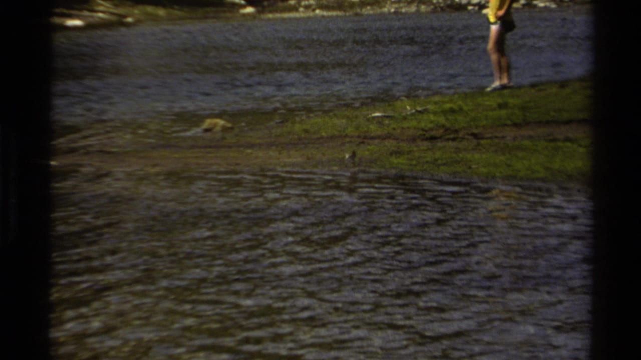 1979 British Columbia 8mm frame showing rippling water, a grassy bank, a small bird near the stream edge, and a person standing in the distance.