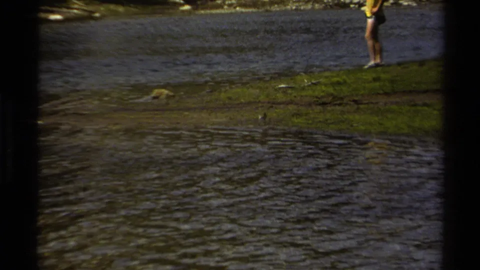 1979 British Columbia 8mm frame showing rippling water, a grassy bank, a small bird near the stream edge, and a person standing in the distance.