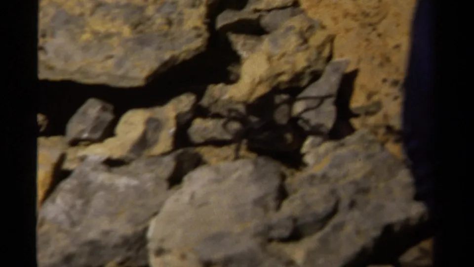 Handheld 8mm view of scattered stones and rough ground, continuing the close search across rocky British Columbia terrain.