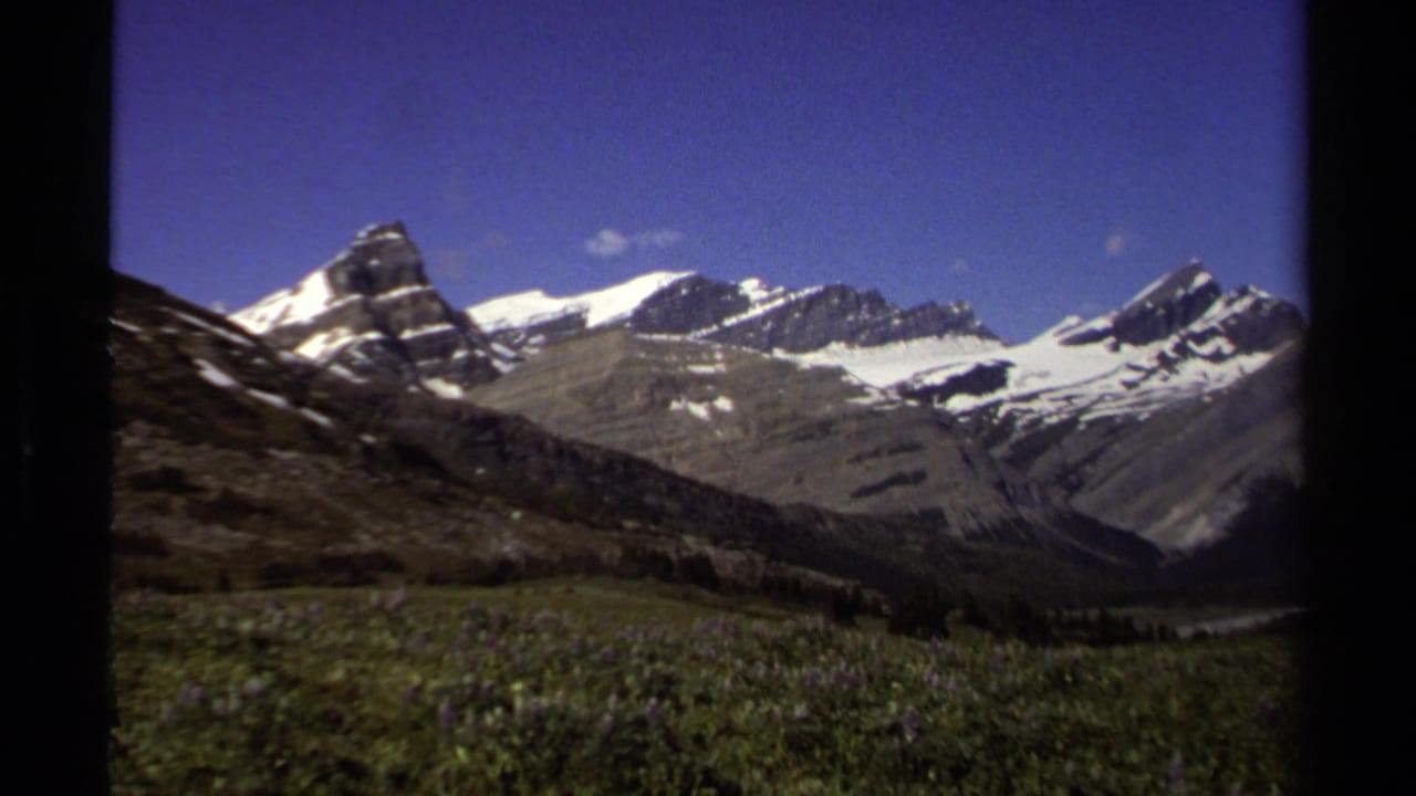 Snow-capped mountain peaks above an alpine meadow under a deep blue sky.