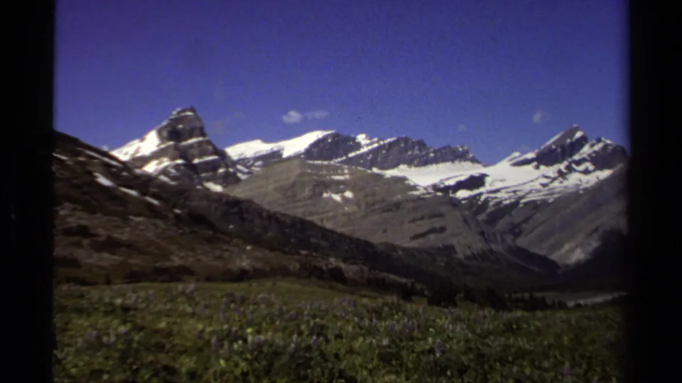 1979 8mm view of snow-capped British Columbia mountain peaks with meadow flowers in the foreground.