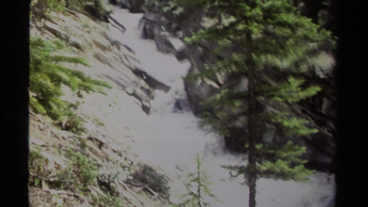 British Columbia forest footage shows bright rushing water moving through rocks and evergreen trees on steep terrain.