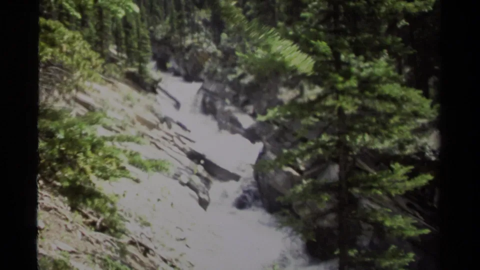 The 8mm frame shows rushing water, rocks, and dense evergreen growth along a British Columbia forest trail setting.