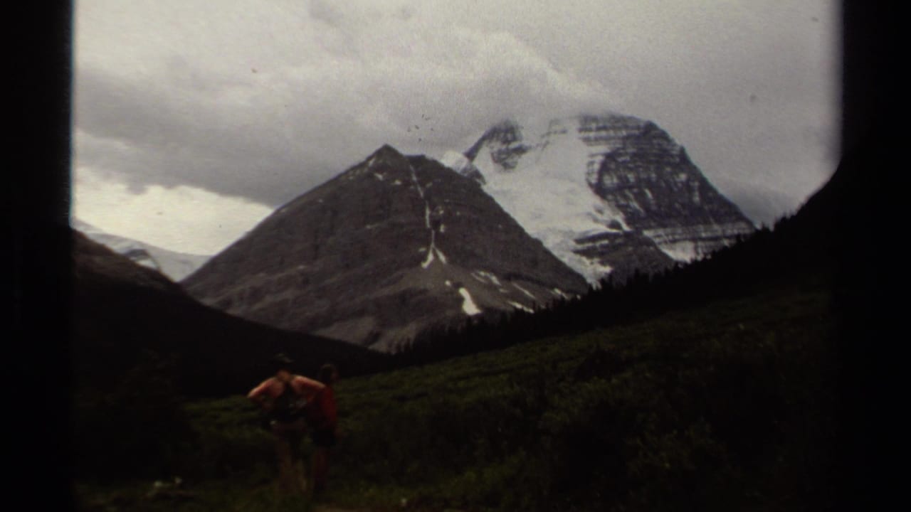 Hiker in a red shirt walking through a green valley toward snow-capped mountains.