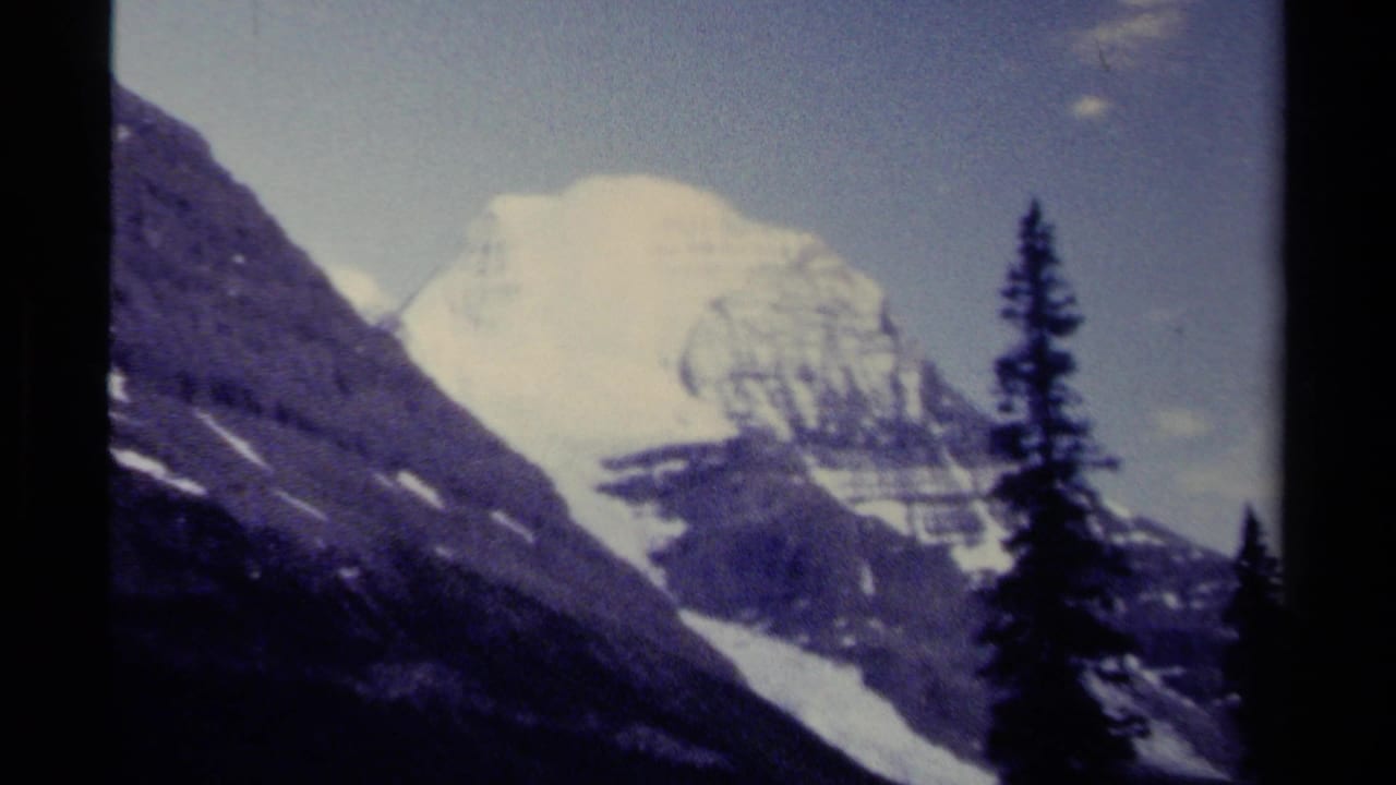 Distant snowy peak with dark ridges and a tall evergreen in front.