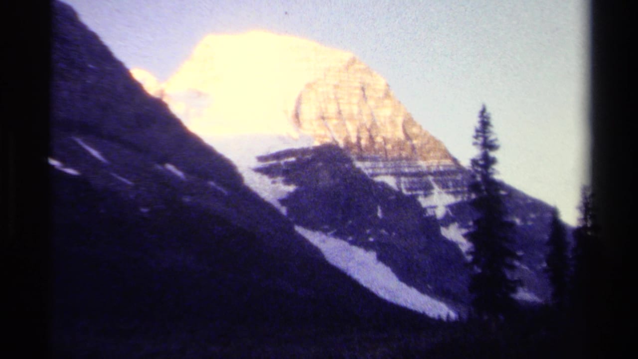 Sunlit snow peak with dark foreground slopes and a tall evergreen.