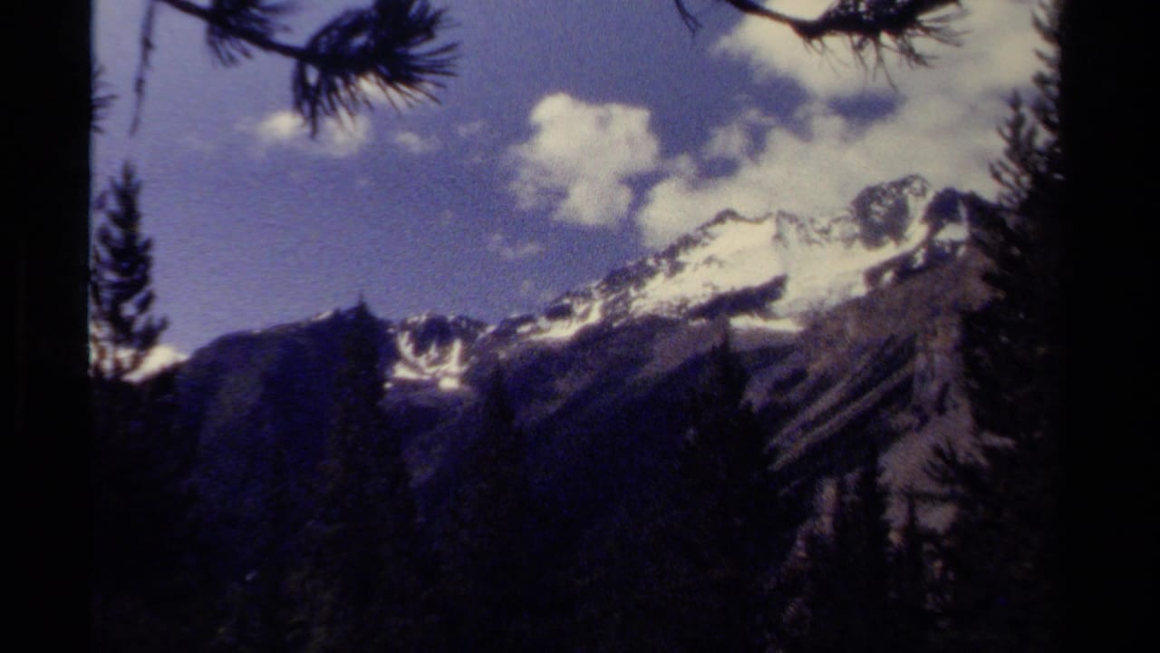 Snow-capped mountain seen beyond dark forest silhouettes and pine branches.