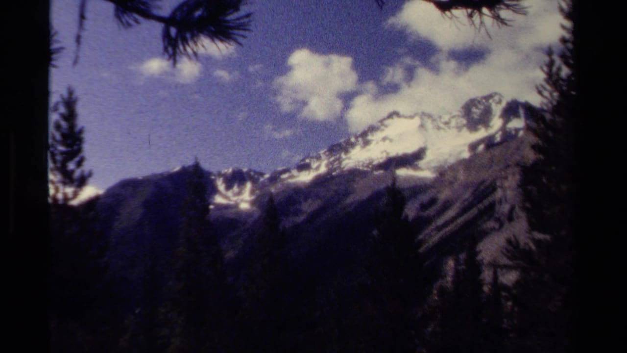 Distant snowy mountain peak framed by dark trees under a partly cloudy sky.