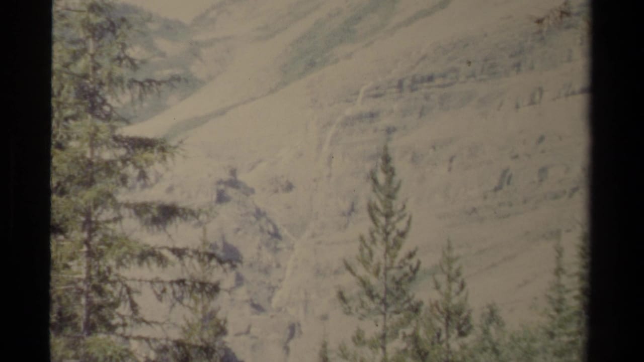Soft distant mountain slope with conifers in the foreground.