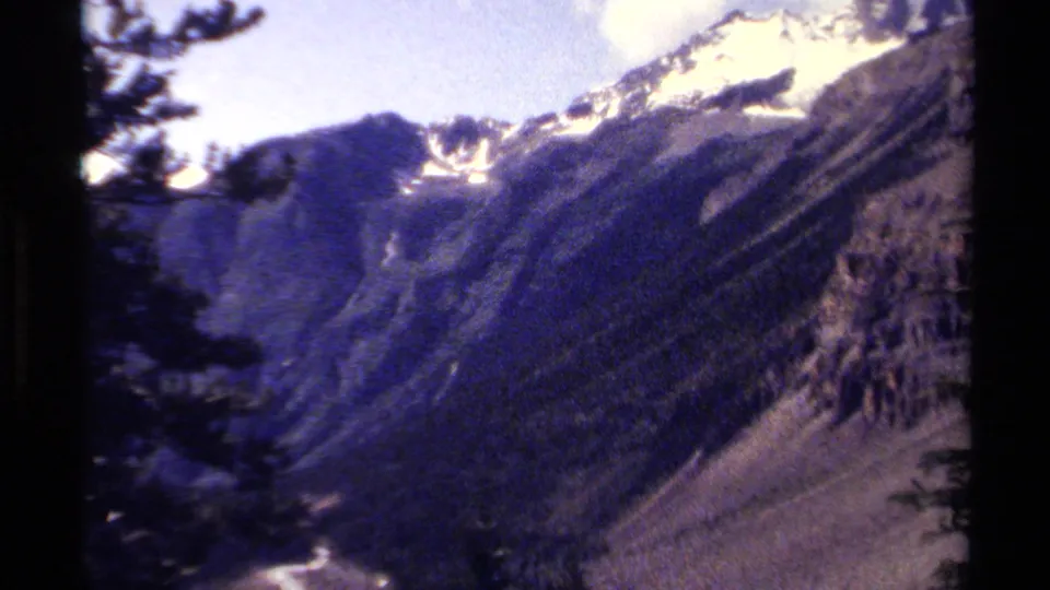 1979 British Columbia 8mm frame showing snow-capped mountain ridges beyond dark evergreen foreground branches.