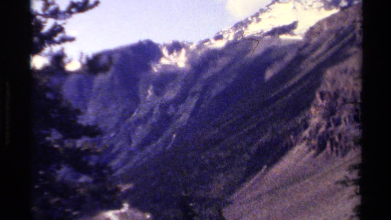 Snowy mountain slope seen through trees with dark film borders.