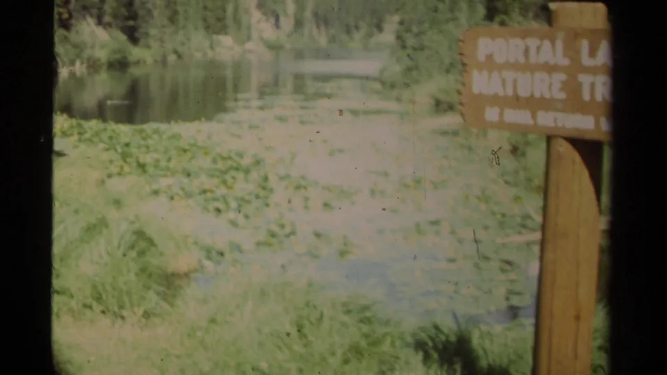 A wooden Portal Lake Nature Trail sign stands near lake water and shoreline vegetation in British Columbia home-movie footage.