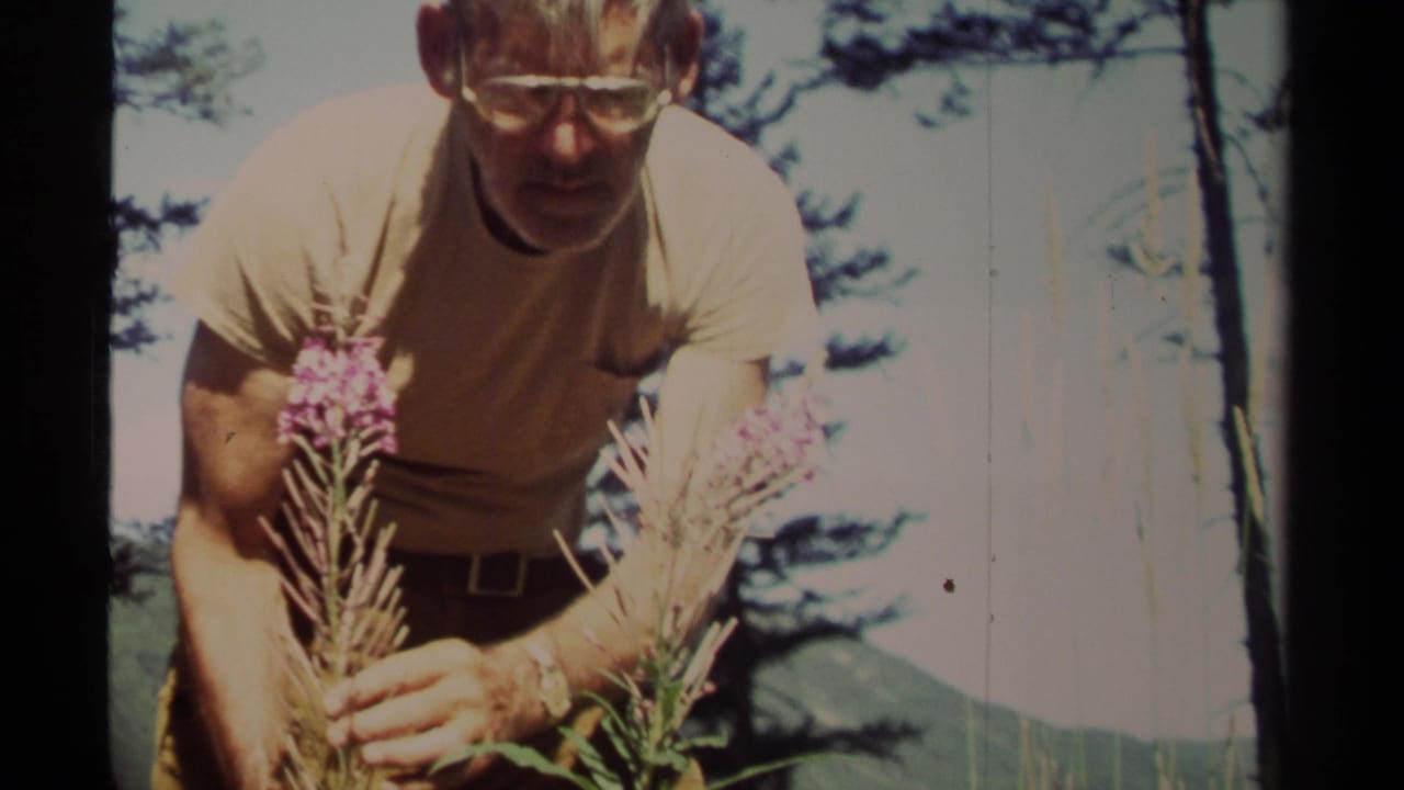 In 1979 British Columbia footage, a man in glasses bends close to purple wildflowers with trees and hills behind him.